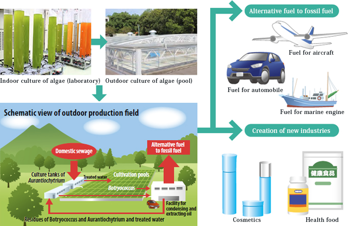 Development of mass production technologies