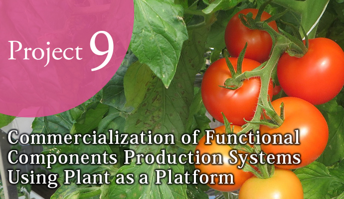 Commercialization of Functional Components Production Systems using Plant as a Platform