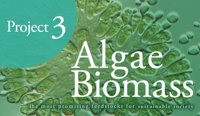 Project3 Algae Biomass Energy