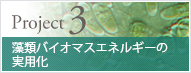 藻類バイオマスエネルギーの実用化