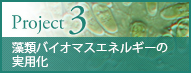 藻類バイオマスエネルギーの実用化