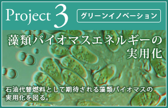 藻類バイオマスエネルギーの実用化