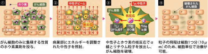 BNCTの原理