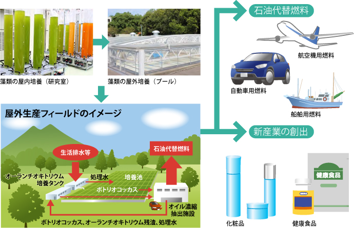 大規模生産技術の開発