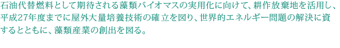 石油代替燃料として期待される藻類バイオマスの実用化に向けて、耕作放棄地を活用し、平成27年度までに屋外大量培養技術の確立を図り、世界的エネルギー問題の解決に資するとともに、藻類産業の創出を図る。