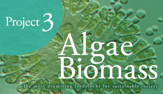 Project3　藻類バイオマスエネルギーの実用化